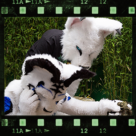 Eurofurence 2015 fursuit photoshoot. Preview picture of EarthY, Whitey Lynx